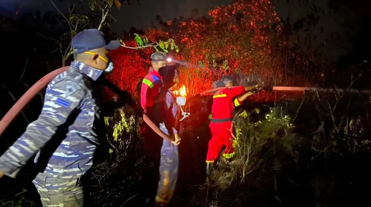 Gerak Cepat TNI AL dan Tim Gabungan Padamkan Kebakaran Lahan di Lingga