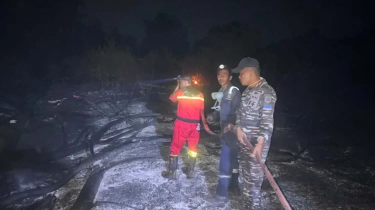 Gerak Cepat TNI AL dan Tim Gabungan Padamkan Kebakaran Lahan di Lingga