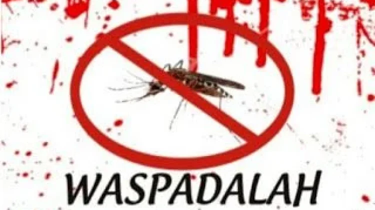 Waspadai Gejala DBD sejak Dini