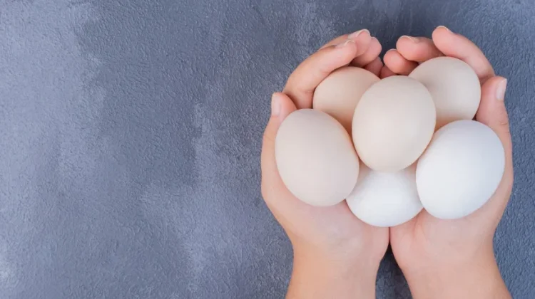 Telur Kaya Protein untuk Pertumbuhan Anak
