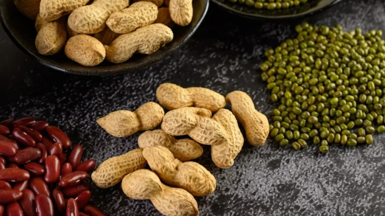 Kacang-Kacangan Dukung Pertumbuhan Tulang Anak