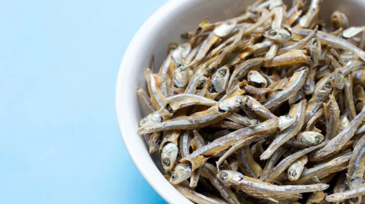 Ikan Teri Kaya Kalsium untuk Anak