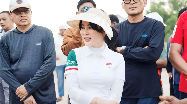 Batam Perkuat Wajah Kota Modern Lewat Smart PJU