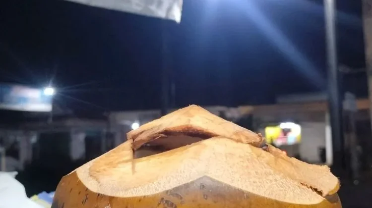 Ini Manfaat Kelapa Bakar bagi Kesehatan