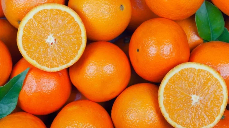 Buah Terbaik untuk Jaga Kesehatan Dikondisi Udara Tercemar Kabut Asap