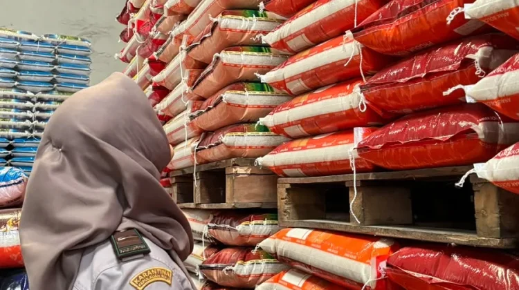Karantina Kepri Periksa 25 Ton Beras Asal Jakarta di Batam