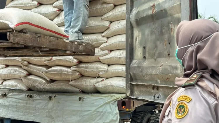 Karantina Kepri Periksa 25 Ton Beras Asal Jakarta di Batam