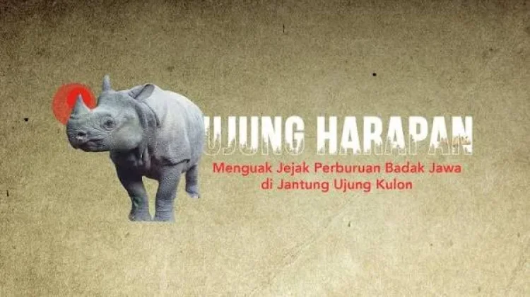 Peringatan Hari Badak Sedunia