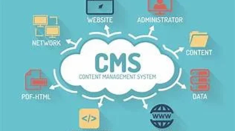 Content Management System (CMS) Menjadi Tulang Punggung Bisnis dan Kreator Konten