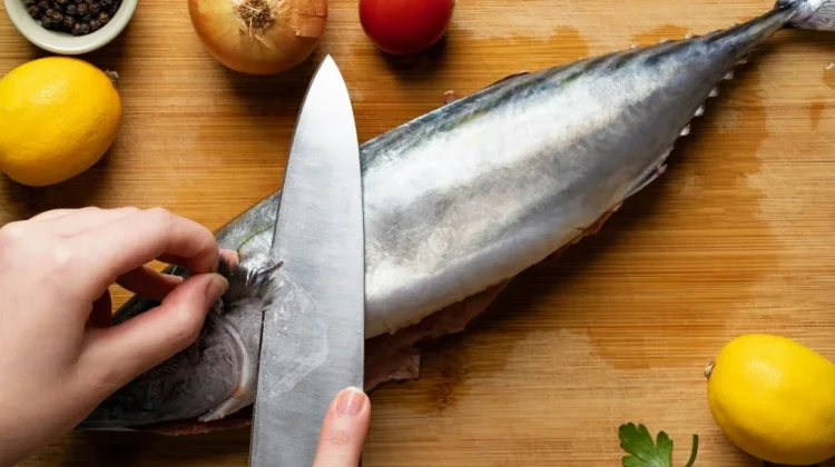 Jangan Asal Pilih, Ini Ciri-Ciri Ikan yang Tidak Layak Dimakan Mentah