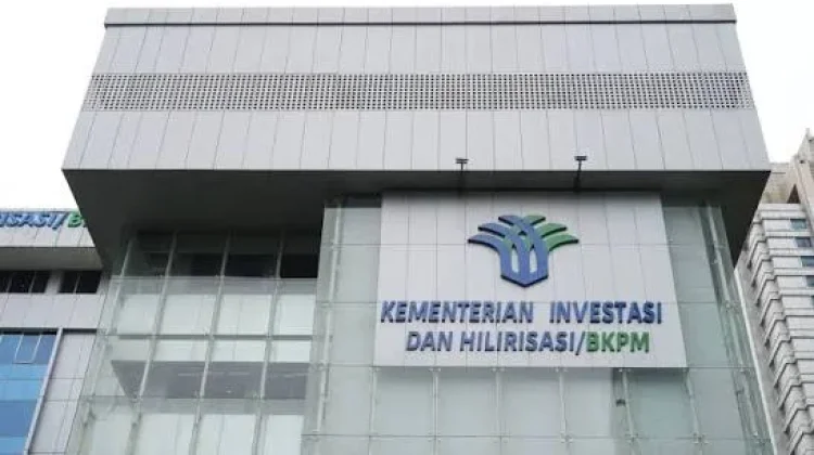 BKPM: Energi Terbarukan Berpotensi Raup Investasi Jumbo dari IEU-CEPA