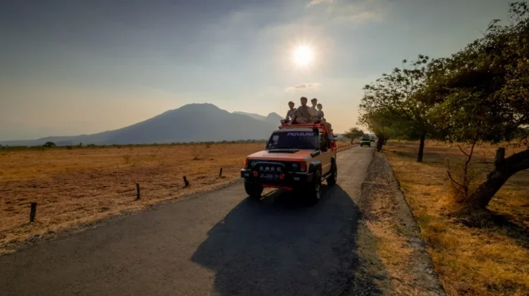 Baluran, Savana Jawa dan Jejak Kehidupan Satwa Liar