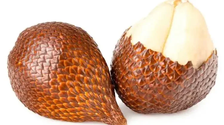 Manfaat Buah Salak bagi Kesehatan