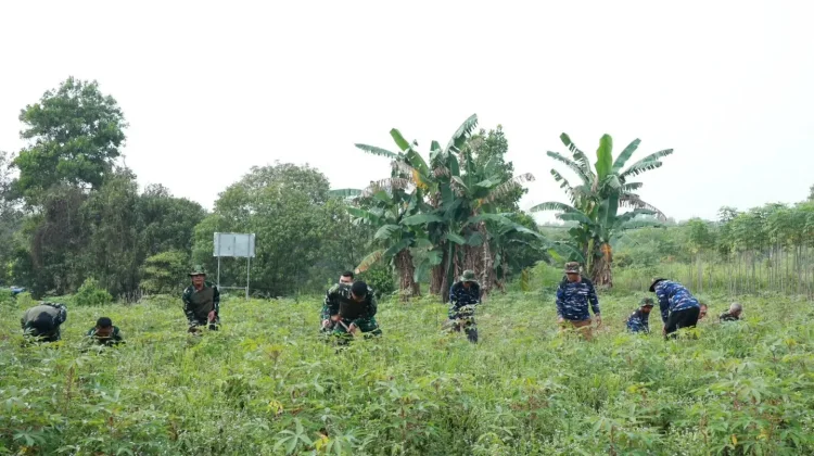 Lanud Hang Nadim Perkuat Ketahanan Pangan Bersama Poktan Camar