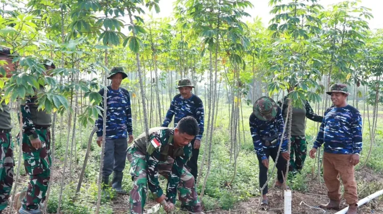 Lanud Hang Nadim Perkuat Ketahanan Pangan Bersama Poktan Camar