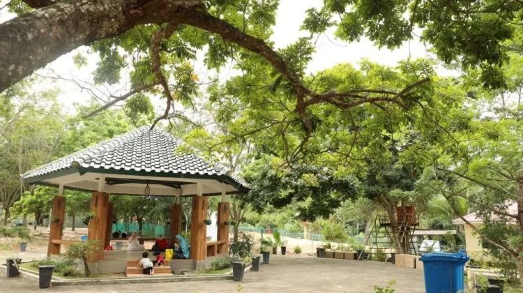 Tak Harus ke Mal, Ajak Anak Menikmati Alam di Batam