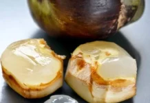 Buah Lontar Kaya Manfaat Sehat