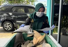 Bebas HPIK, Karantina Kepri Terbitkan Sertifikat Kesehatan Sirip Ikan Hiu