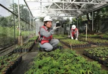 Bisnis dengan Otak, Bagaimana Ekonomi Mendukung Keputusan Cerdas