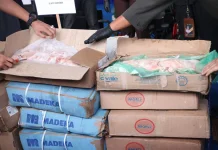 Ditreskrimsus Polda Kepri Amankan 80 Ton Daging Ilegal Asal Argentina dan Brazil