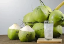 Ragam Manfaat Air Kelapa untuk Buka Puasa