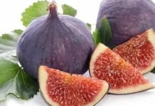 Buah dalam Al-Qur'an dan Manfaatnya