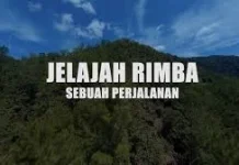 Sejarah Hari Bakti Rimbawan di Indonesia