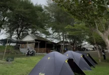 Serunya Camping di Laguna Pantai Glagah Yogyakarta
