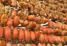 Sensasi Kuliner Laut: Undur-Undur Jadi Hidangan Tak Biasa