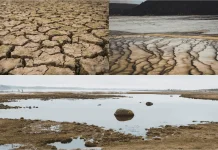 Memahami El Nino, Penyebab, Dampak, dan Cara Mengantisipasinya