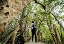 Pariwisata Berkelanjutan Jadi Fondasi Daya Saing Global Indonesia