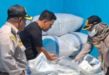 Karantina Kepri Sertifikasi 9,2 Ton Ikan Teri Kering