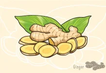 Rempah-Rempah Alami Jadi Pilihan Alternatif Efektif Redakan Gejala Flu