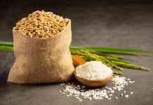 Harga Beras Asia Melonjak Dampak Konflik Iran