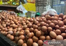 [Hoaks] Video Pembuatan Telur Sintetis