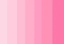Warna Pink Simbol Kelembutan yang Kian Mendominasi Tren