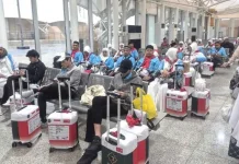 Puluhan Ribu Jamaah Tiba di Madinah, Otoritas Soroti Kesehatan dan Kesiapan Ibadah
