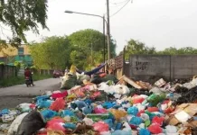 Lingkungan Sehat Jadi Prioritas Pembeli Rumah
