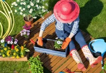Hobi Berkebun Rumahan Kembali Digemari Masyarakat