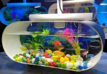 Perlengkapan Aquarium Makin Murah, Hobi Memelihara Ikan Hias Semakin Diminati