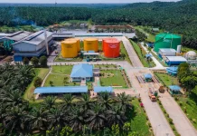 SSMS Laporan Kinerja Keuangan yang Meningkat Drastis dengan Laba Bersih R