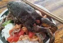 Lima Makanan Pemicu Risiko Kanker