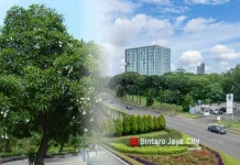 Asal Usul Kawasan Bintaro