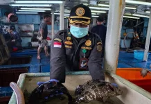 Ekspor Ikan Natuna Tembus 1,2 Miliar Rupiah
