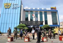 [Hoaks] Pendaftaran CPNS Bea Cukai 2026 Dibuka