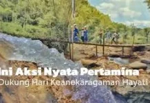 Pentingya Peringatan Hari Keanekaragaman Hayati