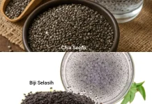 Chia Seeds dan Biji Selasih, Sekilas Mirip tapi ternyata Berbeda