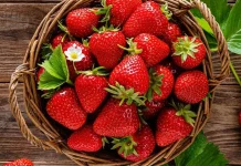 Fakta Unik Stroberi, Bagian Merah yang Dimakan ternyata Bukan Buah Sejati