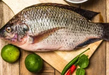 Kenali Ciri Ikan Nila Segar sebelum Membeli