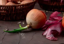 Bawang Bertunas Masih Bisa Dikonsumsi atau Tidak? Simak Penjelasannya